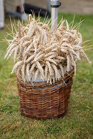 SkerriesFarmersMarket&HarvestFestival 2025-84