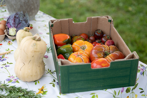 SkerriesFarmersMarket&HarvestFestival 2025-99
