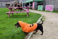 PHOTOS_FINGAL-1