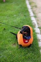 PHOTOS_FINGAL-5