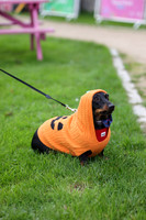 PHOTOS_FINGAL-4
