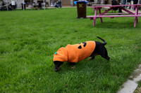 PHOTOS_FINGAL-2