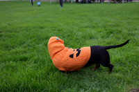 PHOTOS_FINGAL-3