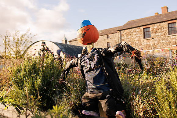 Skerries_Mills_Fireshow -24