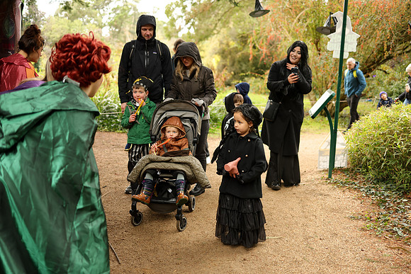 The_Haunted_Trail-38