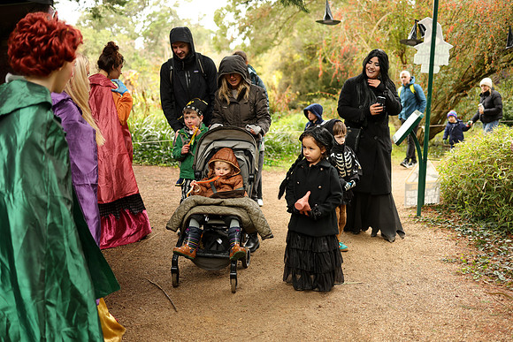The_Haunted_Trail-39