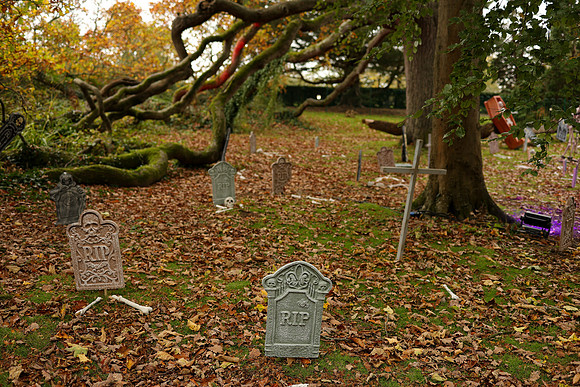 The_Haunted_Trail-96