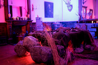 Ardgillan_Castle -7