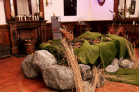 Ardgillan_Castle -6