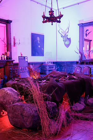 Ardgillan_Castle -9