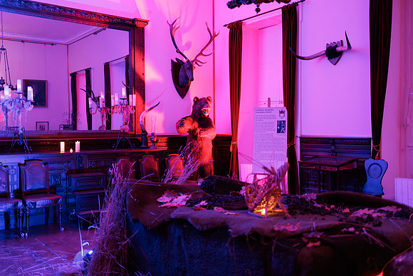 Ardgillan_Castle -14