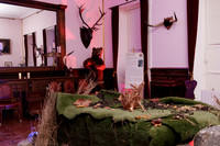 Ardgillan_Castle -15