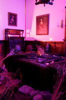 Ardgillan_Castle -13
