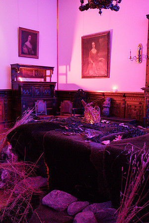 Ardgillan_Castle -13