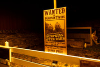 Newbridge-12
