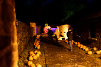 Newbridge-14