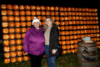Newbridge-17