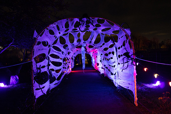 Newbridge-68