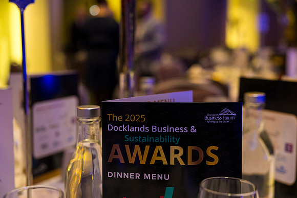 Pictured at Dublin Docklands business forum Awards a the Gibson hotel 20th November 2025 by Paul Kelly-10