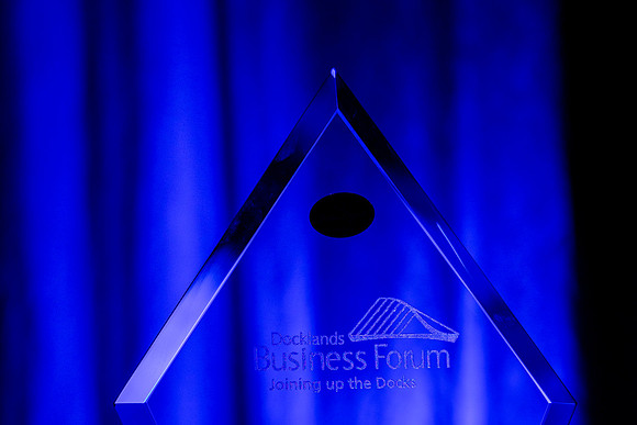 Pictured at Dublin Docklands business forum Awards a the Gibson hotel 20th November 2025 by Paul Kelly-15