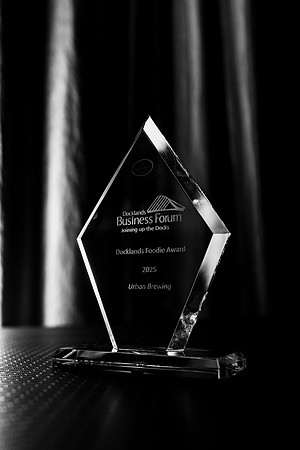 Pictured at Dublin Docklands business forum Awards a the Gibson hotel 20th November 2025 by Paul Kelly-16
