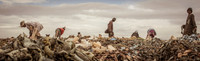 glean