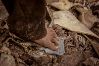 tannery