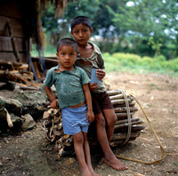 Hasselblad-6