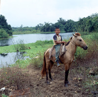 Hasselblad-8