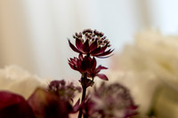 Tara&Darrel-3