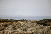 Skerries June 2026 photographed by Paul Kelly photography ltd -7