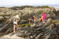 Skerries June 2026 photographed by Paul Kelly photography ltd -5