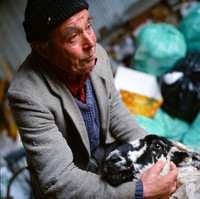 Donegal farmer_pregnant _ewe_People_show