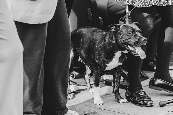 photographed at the International Erandication of Poverty Day, 17th October 2026 Dublin by Paul Kelly-81