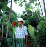 Gardener_Flores_Guatemala_People_Show