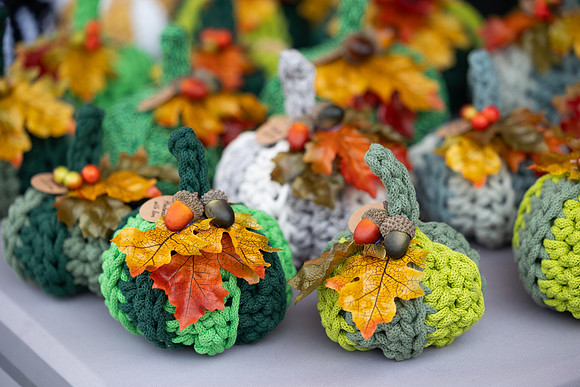 SkerriesFarmersMarket&HarvestFestival 2025-4
