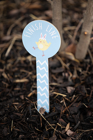 Seagardens Easter 2025-21