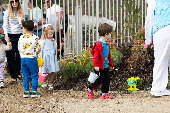 Seagardens Easter 2025-78