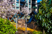Xavier playground photo Paul Kelly-3
