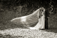alison_brendan-430