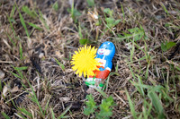 Seagardens Easter 2025-20