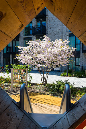 Xavier playground photo Paul Kelly-6