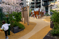 Xavier playground photo Paul Kelly-12