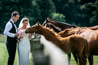 elaine&paul-534