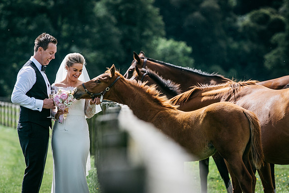 elaine&paul-534