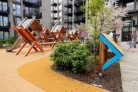 Xavier playground photo Paul Kelly-15