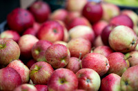 SkerriesFarmersMarket&HarvestFestival 2025-3
