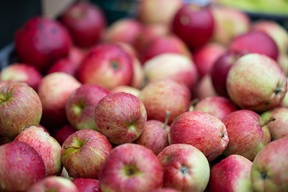 SkerriesFarmersMarket&HarvestFestival 2025-3