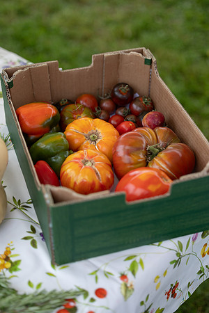 SkerriesFarmersMarket&HarvestFestival 2025-98