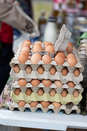 SkerriesFarmersMarket&HarvestFestival 2025-61